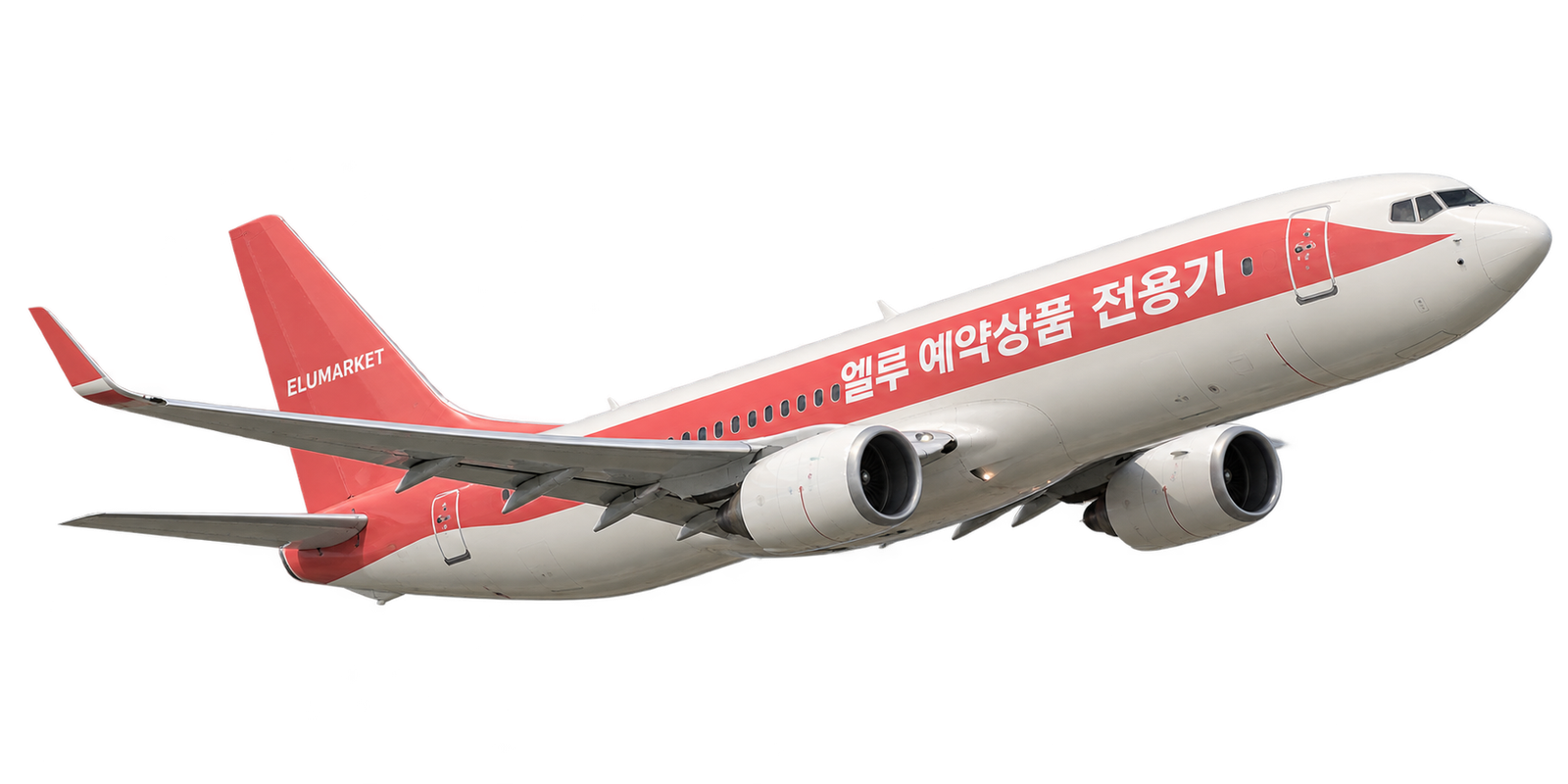 엘루 예약상품 전용기 랩핑 비행기